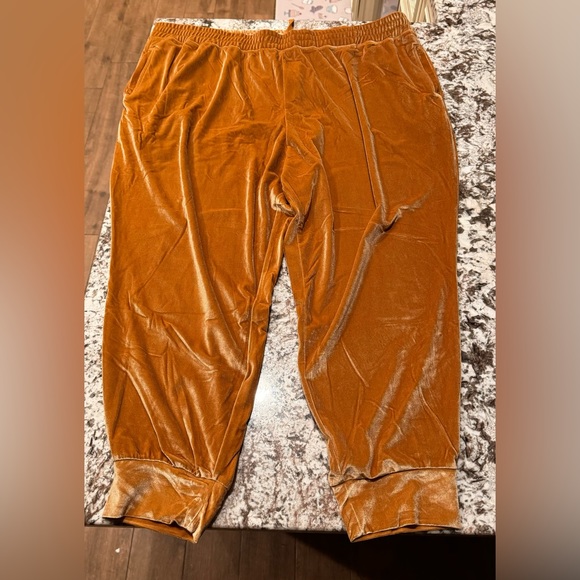 Fabletics 3X Velvet Joggers - Picture 3 of 10